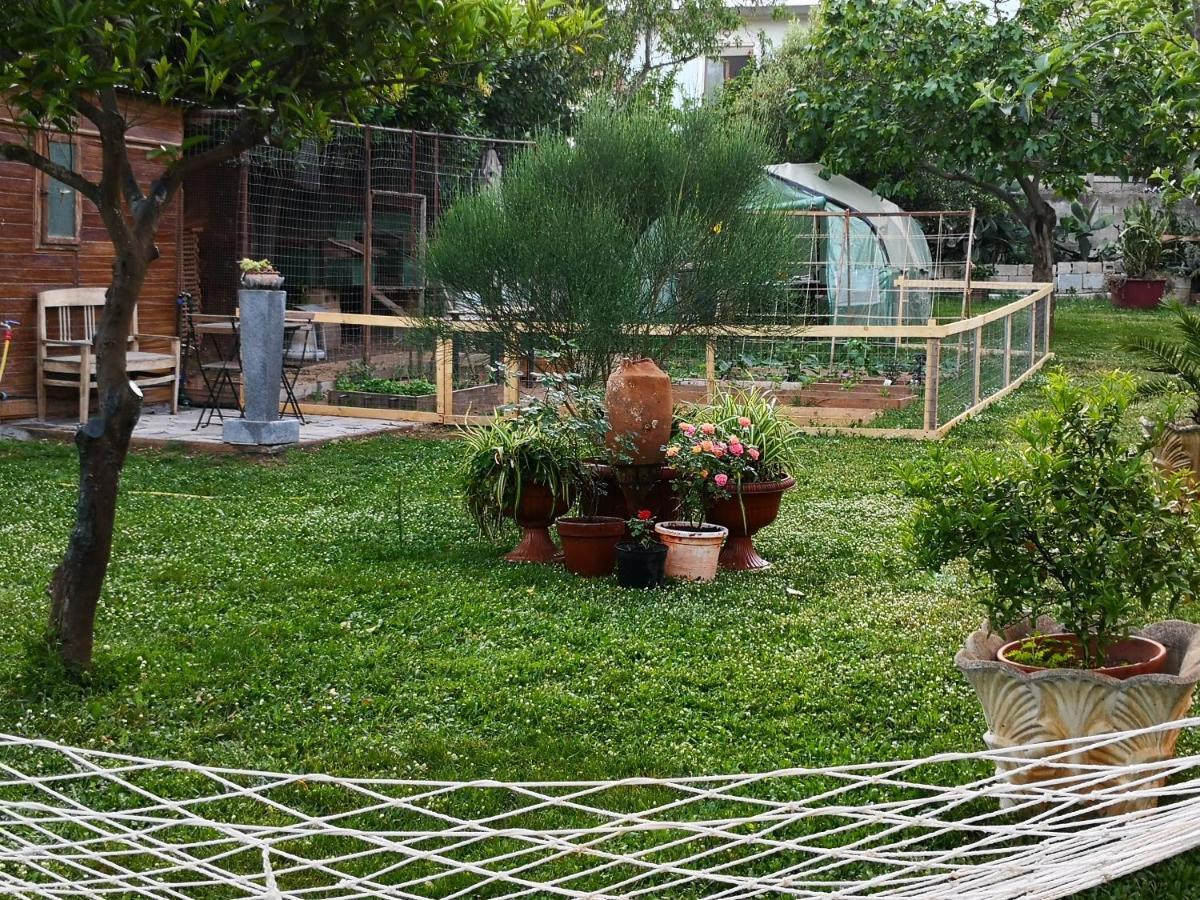 Bed and Breakfast Zia Chiarina San Nicolo Gerrei Exterior foto