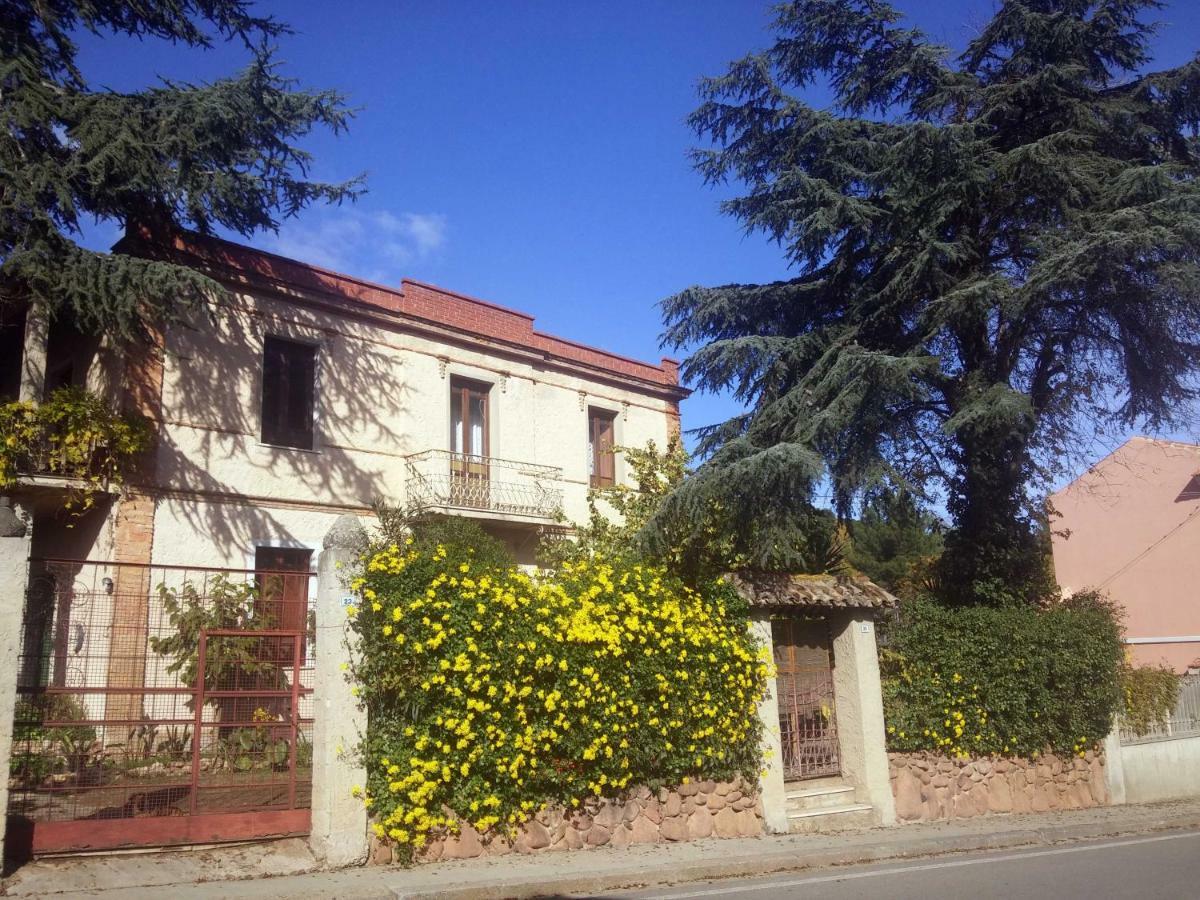 Bed and Breakfast Zia Chiarina San Nicolo Gerrei Exterior foto