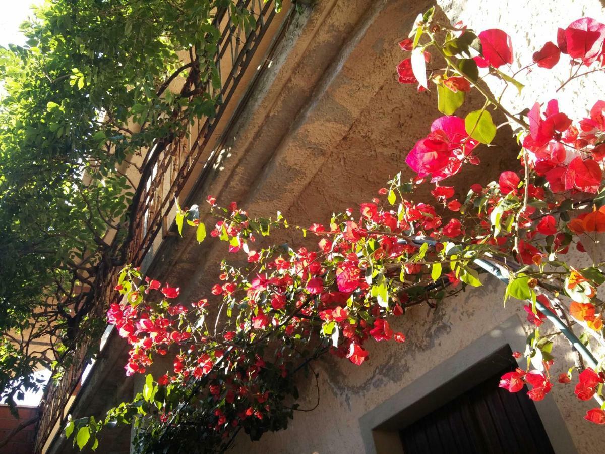 Bed and Breakfast Zia Chiarina San Nicolo Gerrei Exterior foto