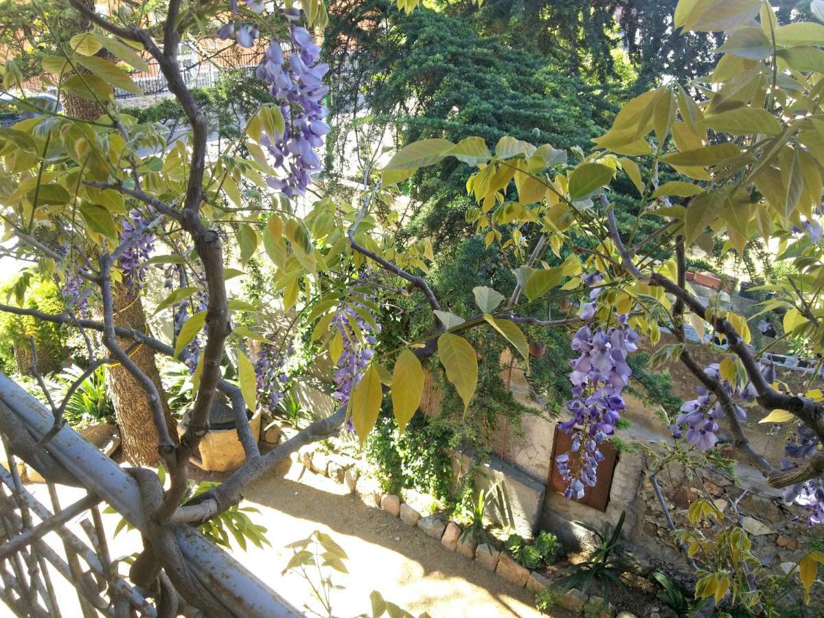 Bed and Breakfast Zia Chiarina San Nicolo Gerrei Exterior foto